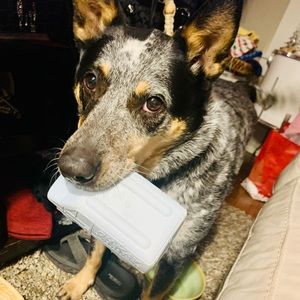 Meet your Posher, Heidi